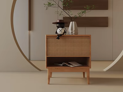 Minimalist Wooden Side Table with Rattan Front Panel Decorative Figure White Vase and Green Plants 3d model