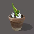 Green Indoor Plant In Terracotta Pot With White Hand Shaped Decorations In Soil