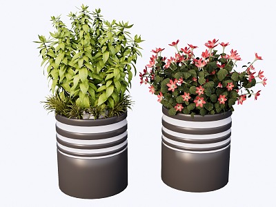 Modern indoor potted plants 3d model