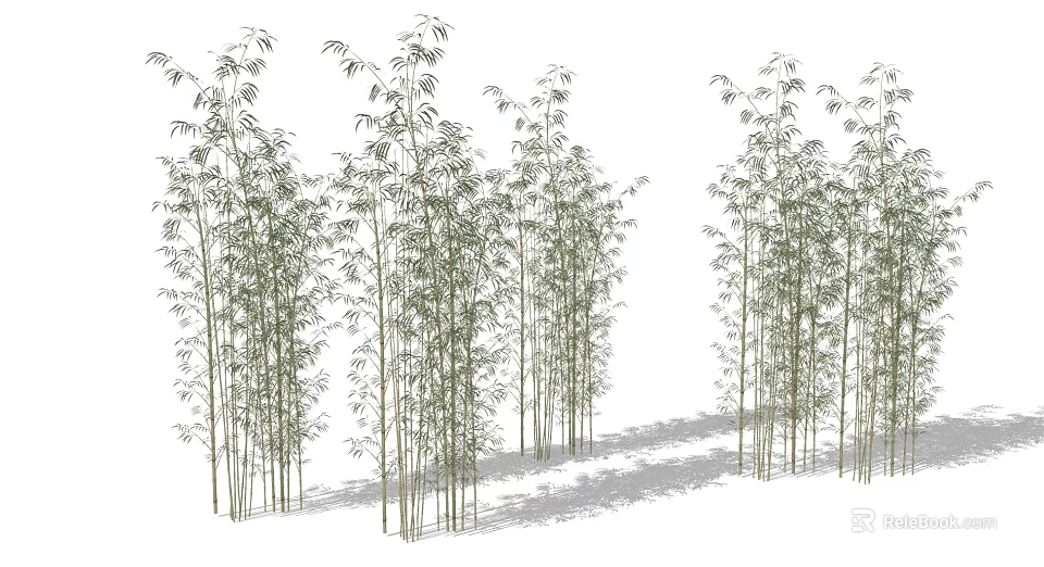 Tall Bamboo Grove With Lush Green Leaves And Natural Shadows In Landscape 3d model 