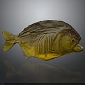 Golden Piranha Fish Statue With Sharp Teeth And Yellow Tail 3d model