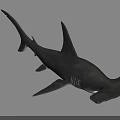Detailed Realistic Shark 3D Rendering With Sharp Fins And Lifelike Body