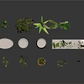 Various Indoor Plants with Different Planters Including White Ceramic and Clay Pots 3d model