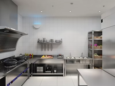 Commercial Kitchen Setup With Stainless Steel Stove Range Hood And Storage Racks 3d model