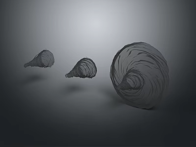 Three Spiral Shell Like Biological Structures With Gray Tones Floating On Dark Gray Background 3d model