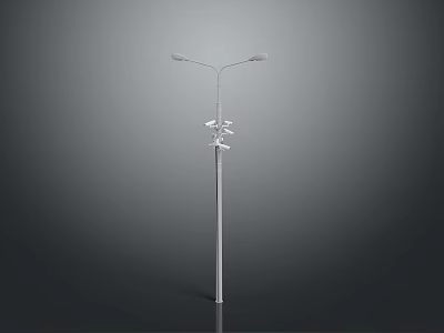 Modern Street Lamp With Double Headed Design And Metal Pole Structure 3d model