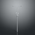 Modern Street Lamp With Double Headed Design And Metal Pole Structure
