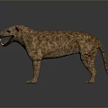 Realistic Honey Badger 3D Model With Open Mouth And Striped Fur