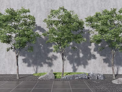 Three Arbor Trees Against Gray Wall With Stone Pavement Rocks And Grass 3d model