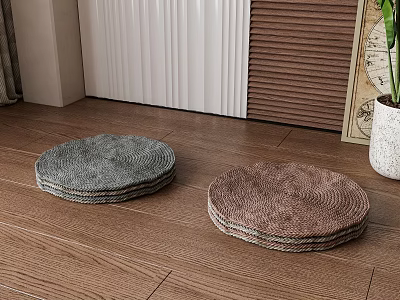 Round Woven Floor Cushions in Gray and Brown on Wooden Floor with Plant Pot 3d model