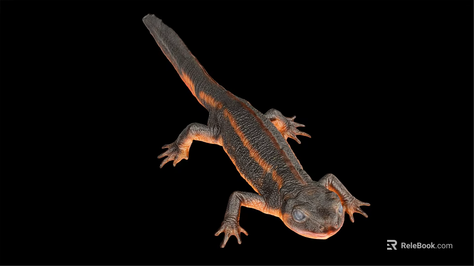 Detailed 3D Rendering Of Salamander With Orange Stripes On Black Background 3d model 