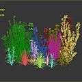 Natural Herb Plants with Pink Yellow White Flowers and Green Stems