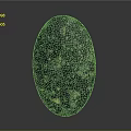 Natural Stone Decorative Object With Dark Green Black Speckled Texture And Oval Shape 3d model