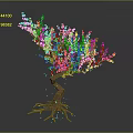 Pink Flowering Tree with Curved Trunk and Exposed Roots Blooming Pink Blossoms on Dark Background