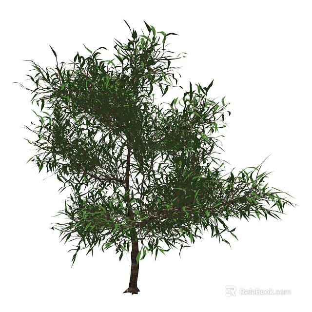 Lush Arbor With Green Slender Leaves And Strong Trunk In Garden 3d model 