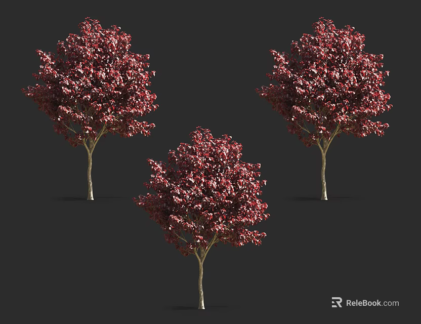 Three Arbor Trees With Vibrant Red Leaves Lush Crowns Against Dark Background 3d model 