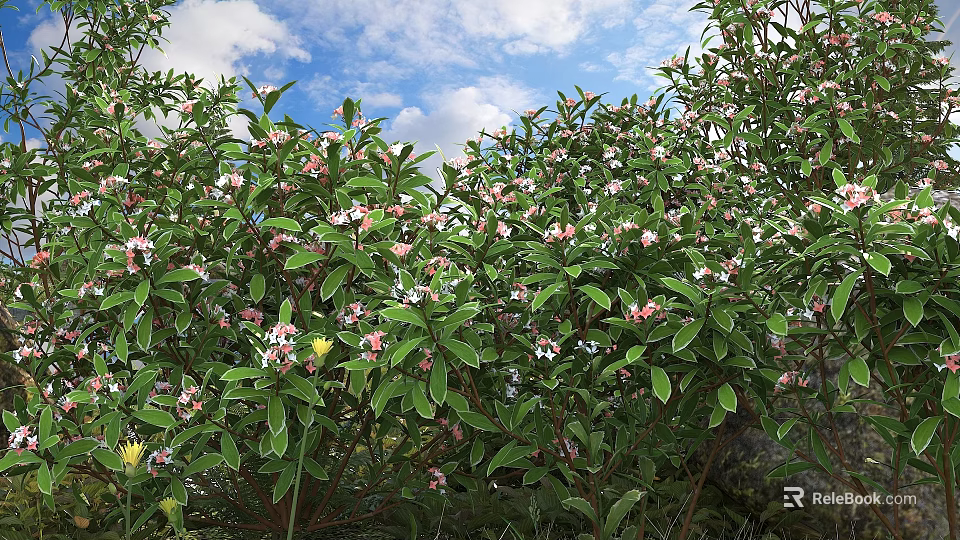 Green Leaf Bushes With Lush Foliage And Pink Flowers Under Blue Sky 3d model 