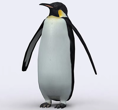 Don't North and South Pole Animal Ocean Boat Penguin 3d model