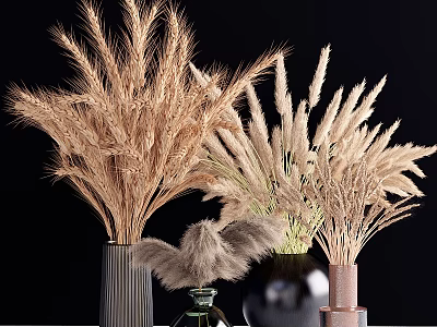 Dried Wheat and Pampas Grass Bouquets in Various Colored Vases on Dark Background 3d model
