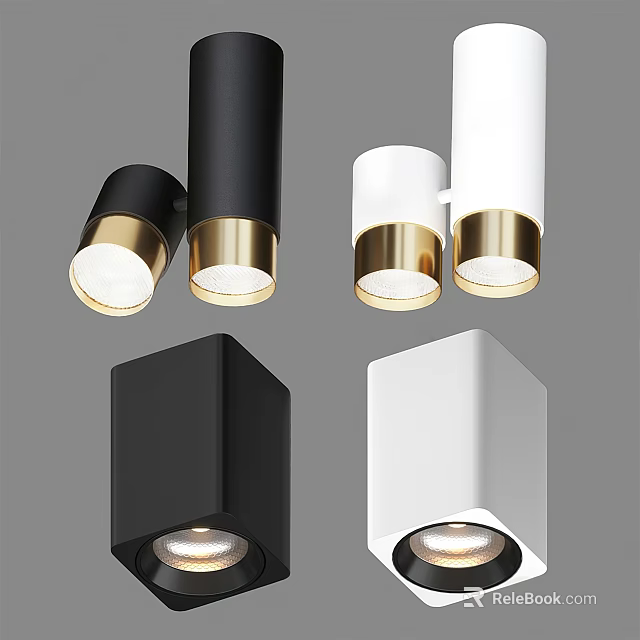 Modern Black and White Ceiling Downlights and Spotlights with Gold Accent Stylish Design 3d model 