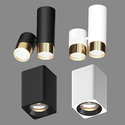 Modern Black and White Ceiling Downlights and Spotlights with Gold Accent Stylish Design 3d model