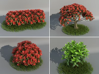 Various Garden Shrubs With Red And Green Foliage In Different Shapes On Green Grass 3d model