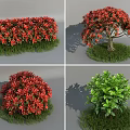 Various Garden Shrubs With Red And Green Foliage In Different Shapes On Green Grass