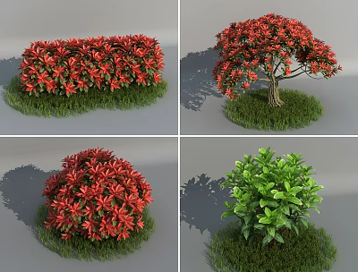 Various Garden Shrubs With Red And Green Foliage In Different Shapes On Green Grass 3d model