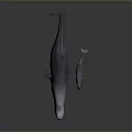 Majestic Whale Mother and Baby Calf Aquatic Animal Swimming Together