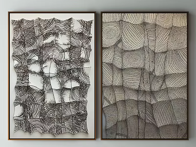 Two Abstract Wall Paintings With Black And White Textured Lines Hanging On Wall 3d model