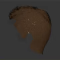 Realistic Brown Human Hair Design For Head Organ Model With Natural Texture