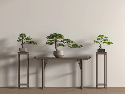 Bonsai 3d model