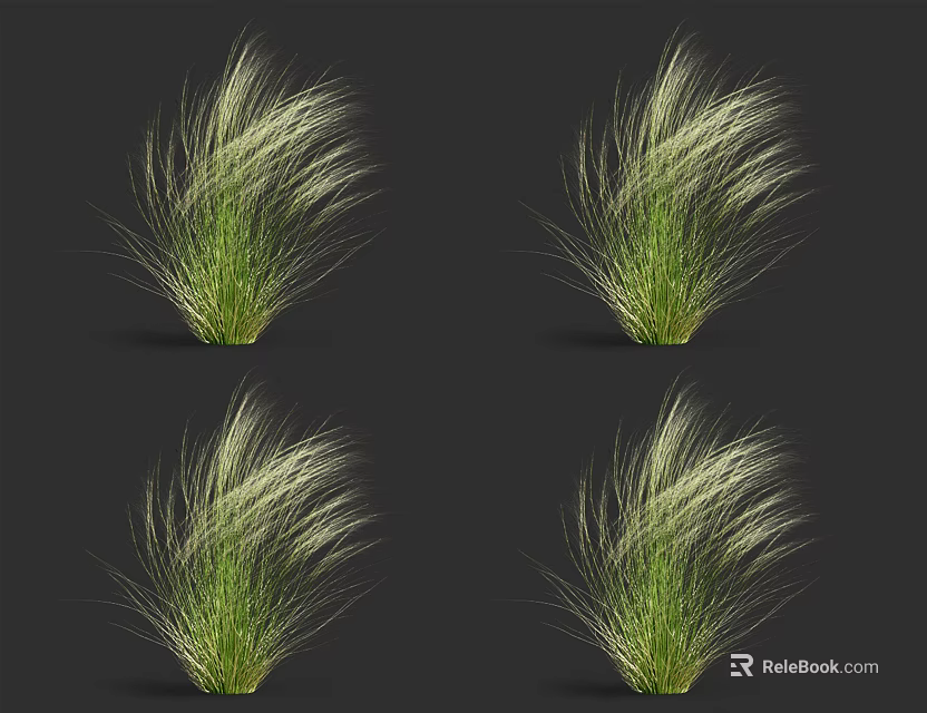 Green Shrubs With Long Slender Leaves Display On Dark Background For Landscape 3d model 