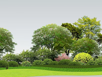 Various Species of Arbor Trees in Lush Green Lawn With Trimmed Shrubs and Foliage 3d model