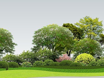 Plant Group Trees, Arbors, Shrubs and Flowers 3d model