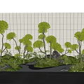 arbor lollipop privet multihead modeling privet combination stone micro-terrain 3d model
