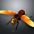 Giant Bee With Orange Wings Brown Body Yellow Stripes And Yellow Green Eyes