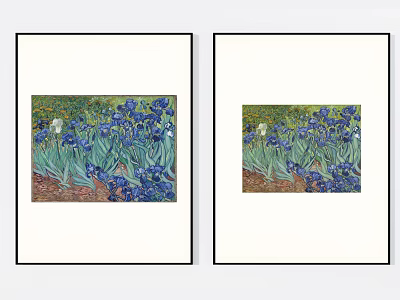Two Framed Plant Paintings With Iris Flowers As Home Wall Art Decoration 3d model
