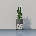 Potted Plant With Long Green Leaves In Gray Pot On Metal Stand For Modern Interior