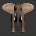 Detailed Brown Elephant Sculpture With Large Ears And Long Tusks On Dark Background