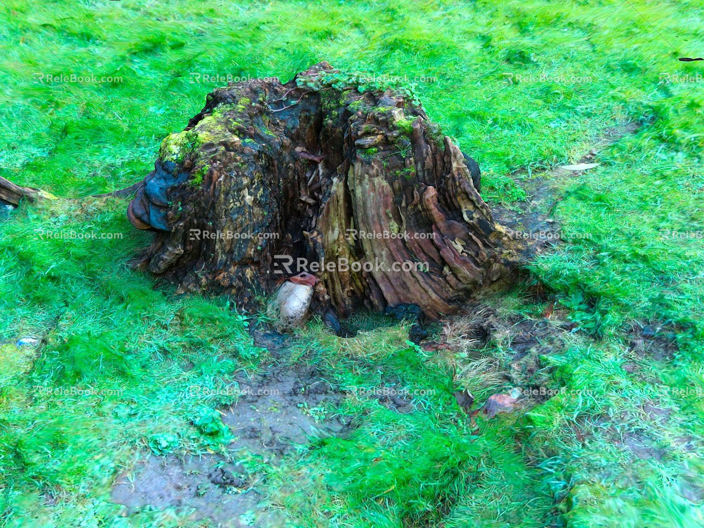 Dead Wood Dead Wood Dry Wood Dry Wood Branch Trunk Cartoon Trunk Dead Branch Tree Root Dead Tree Root Dead Tree 3d model