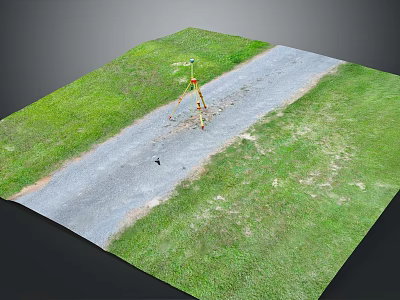 Rural Road Scene With Gray Pavement Green Grassland Tripod And Small Bird 3d model