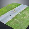 Rural Road Scene With Gray Pavement Green Grassland Tripod And Small Bird