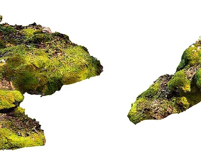 Natural Stone and Wood Decor with Lush Green Moss and Rustic Texture 3d model