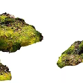 Natural Stone and Wood Decor with Lush Green Moss and Rustic Texture