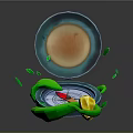 Open Compass With Green Spiral Object And Yellow Star Shaped Fragments
