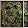 Green Living Wall With Grid Structure And Various Plants
