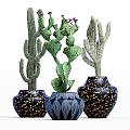 Varied Cactus Potted Plants In Blue Textured And Gold Speckled Vases For Home Decoration