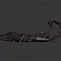 Detailed 3D Model of Scorpion with Dark Exoskeleton Curved Tail and Sharp Claws