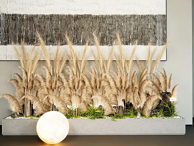 Pampas Grass and Green Plant Combination with Wall Art Concrete Planter and Moon Shaped Light 3d model